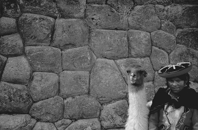 [Cellular construction, Colcampata Palace]