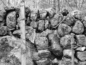 [Boulder dyke, Strathrusdale]