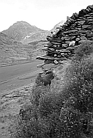 Cliff end, Blaen y Nant, Nant Ffrancon