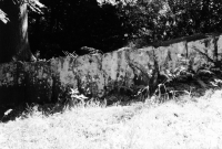 Brathay Flags, Cumbria