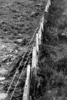 Caithness Flags, overlap