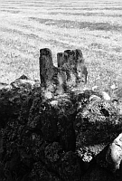 Extended cope for rail, Inshriach nr Aviemore