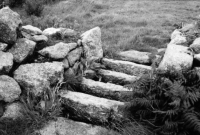 Cornish Grid/Rung Stile