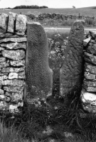 Newhaven Squeeze Stile