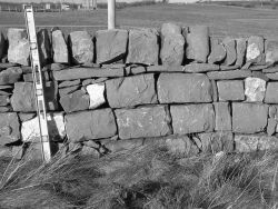 [Large Vertical Tracing]