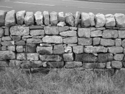 [Pins Joints and Tracing]