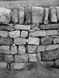 [Slack Complete Joint]