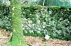 [Llanwrtyd]