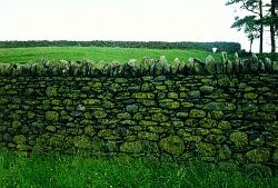 [Mungrisdale]
