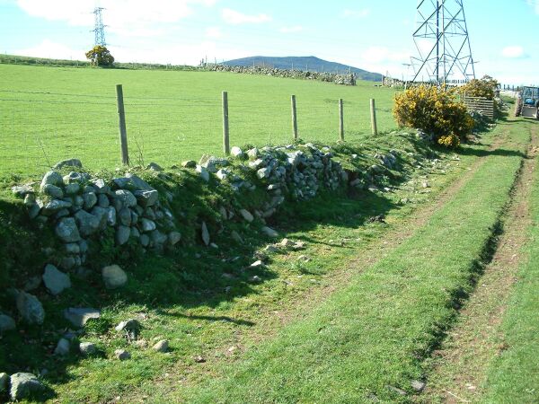 Tyddyn Isaf Clawdd